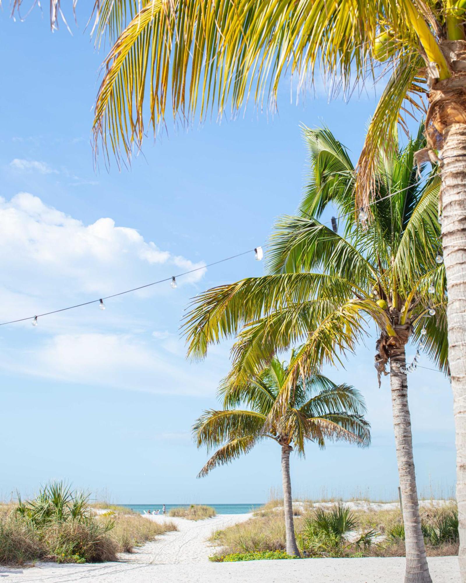 סיינט פיט ביץ' The Molloy - Treasure Island Suites & Cottages מראה חיצוני תמונה