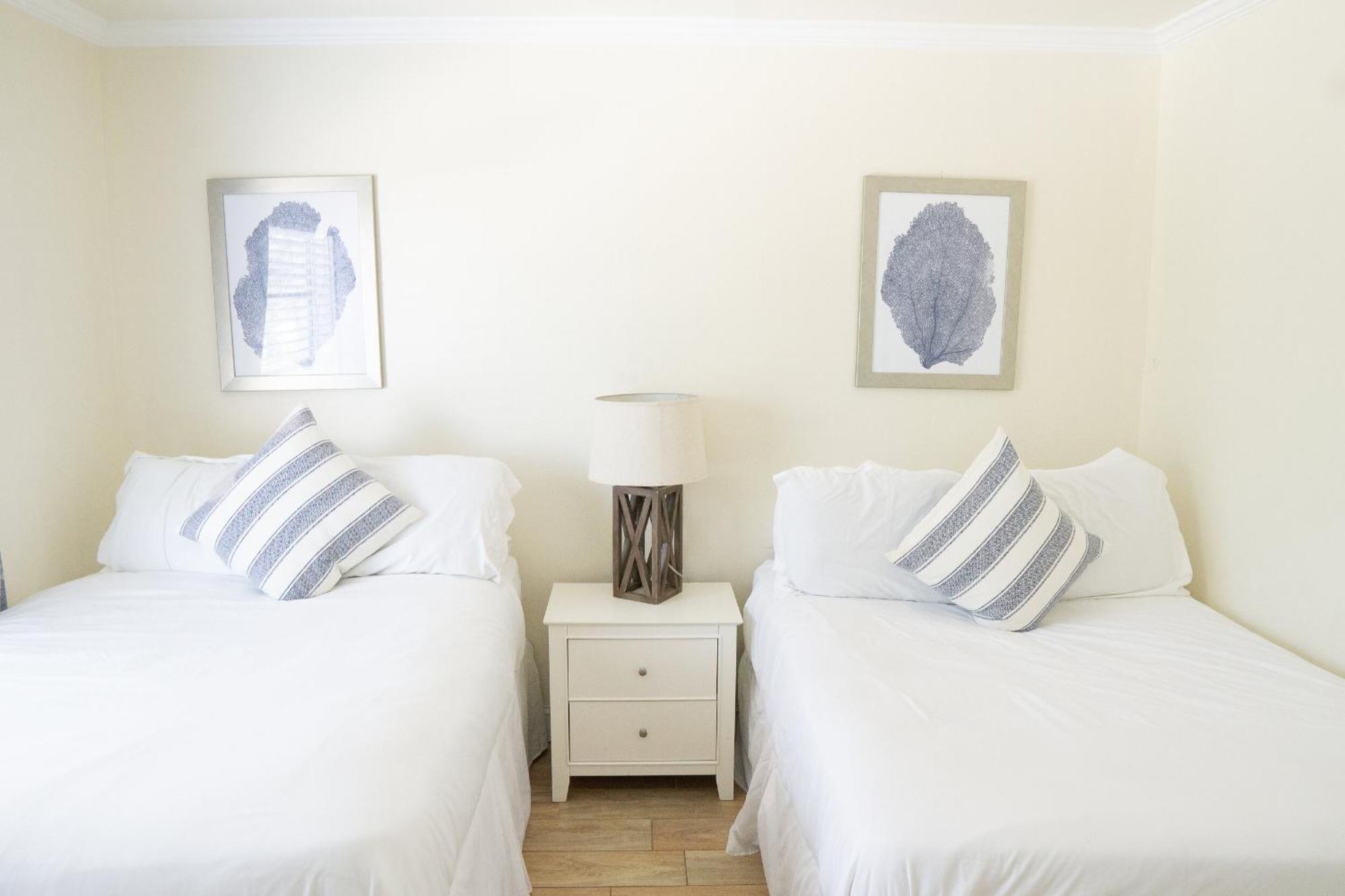 סיינט פיט ביץ' The Molloy - Treasure Island Suites & Cottages מראה חיצוני תמונה